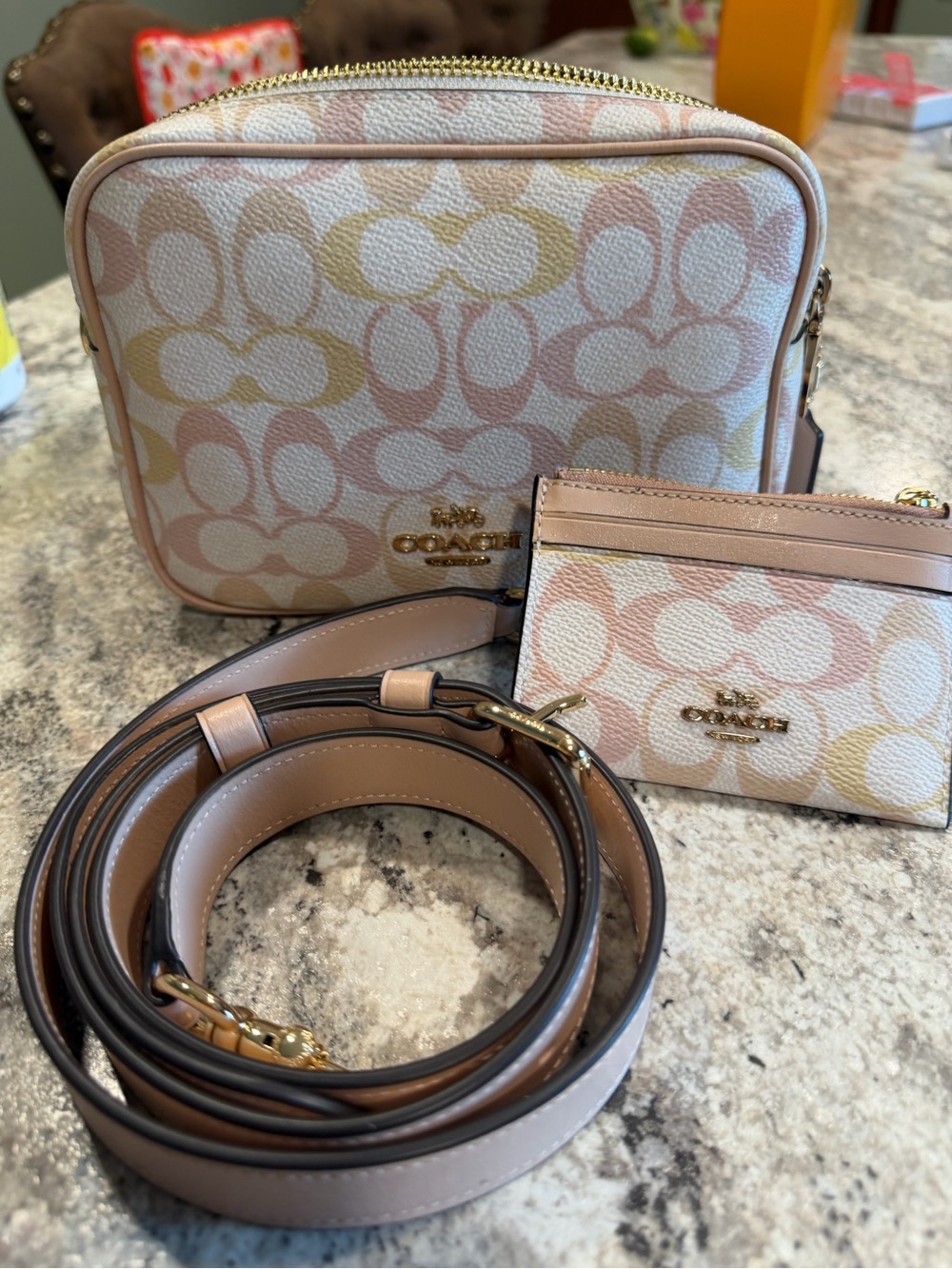 Coach Mini Carey Signature Pastel Canvas Camera Bag with Card Case - Pink/chalk